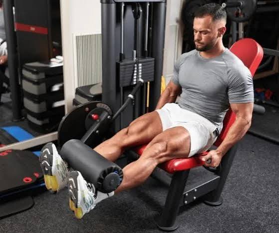 Leg Extension